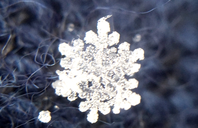 超簡単 雪の結晶の写真がスマホで撮影できる 関東雪結晶プロジェクト に親子で参加しよう 絵本ナビスタイル
