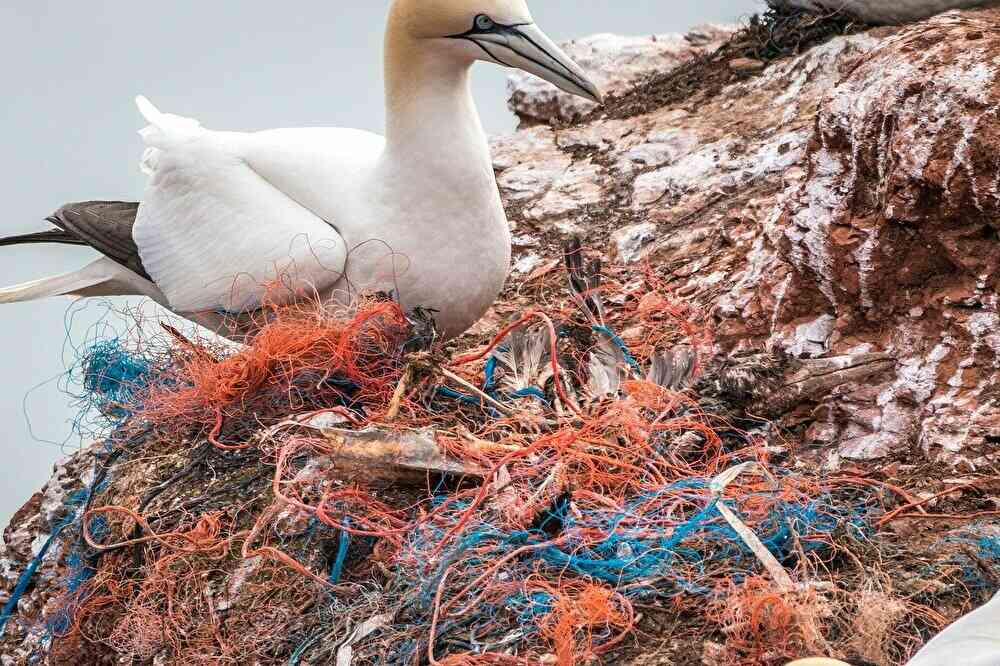 子どもと考えるSDGs｜海洋プラスチック問題から海を守ろう