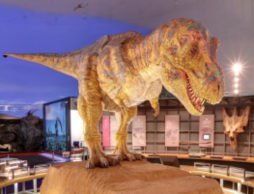 【news】夏休みに「恐竜博士体験ツアー in 恐竜王国福井」へ行ってみよう！