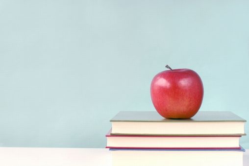 �y�N���X�}�X�z���w1�A2�N���Ƀv���[���g�������A�N���X�}�X���~�̂��b