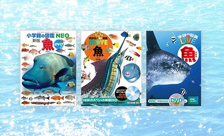 最新版 魚や水の生き物の図鑑36選 人気の深海生物も 絵本ナビスタイル