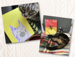自分だけの特別な「猫絵本」大集合！！【おしえて！ あなたの推し猫絵本 2023】集まったのは…？