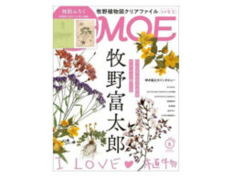 MOE 2023年6月号発売中！表紙＆巻頭特集は「牧野富太郎　I LOVE 植物」
