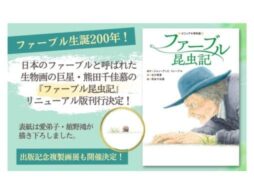 日本のファーブル・熊田千佳慕の『ファーブル昆虫記』が、読み物としてリニューアル刊行決定！