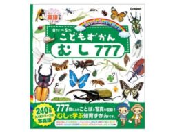 『こどもずかん むし777 英語つき しゃしんバージョン』が新発売！虫いっぱいの知育図鑑で楽しく学べる