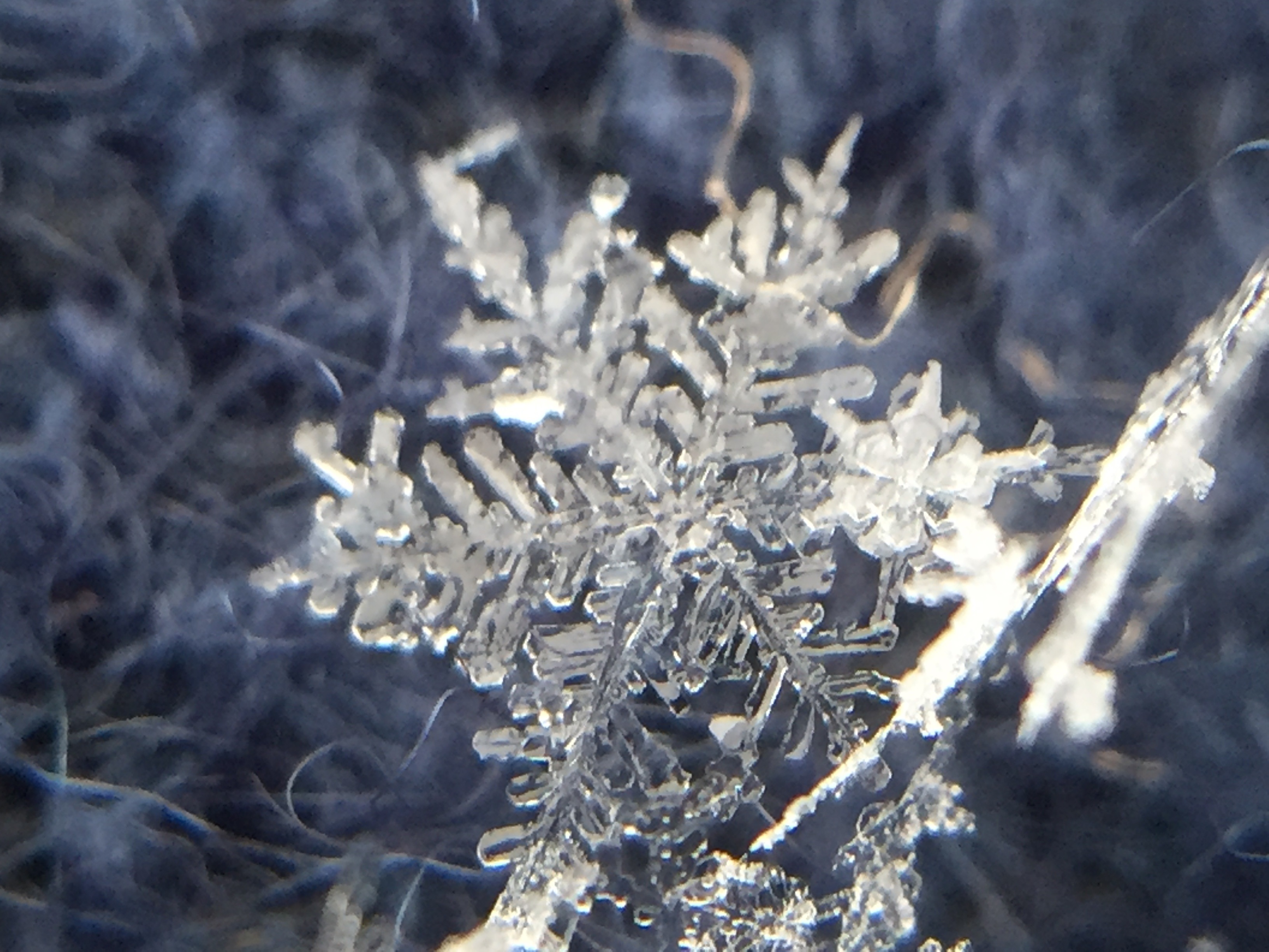 超簡単 雪の結晶の写真がスマホで撮影できる 関東雪結晶プロジェクト に親子で参加しよう 絵本ナビスタイル