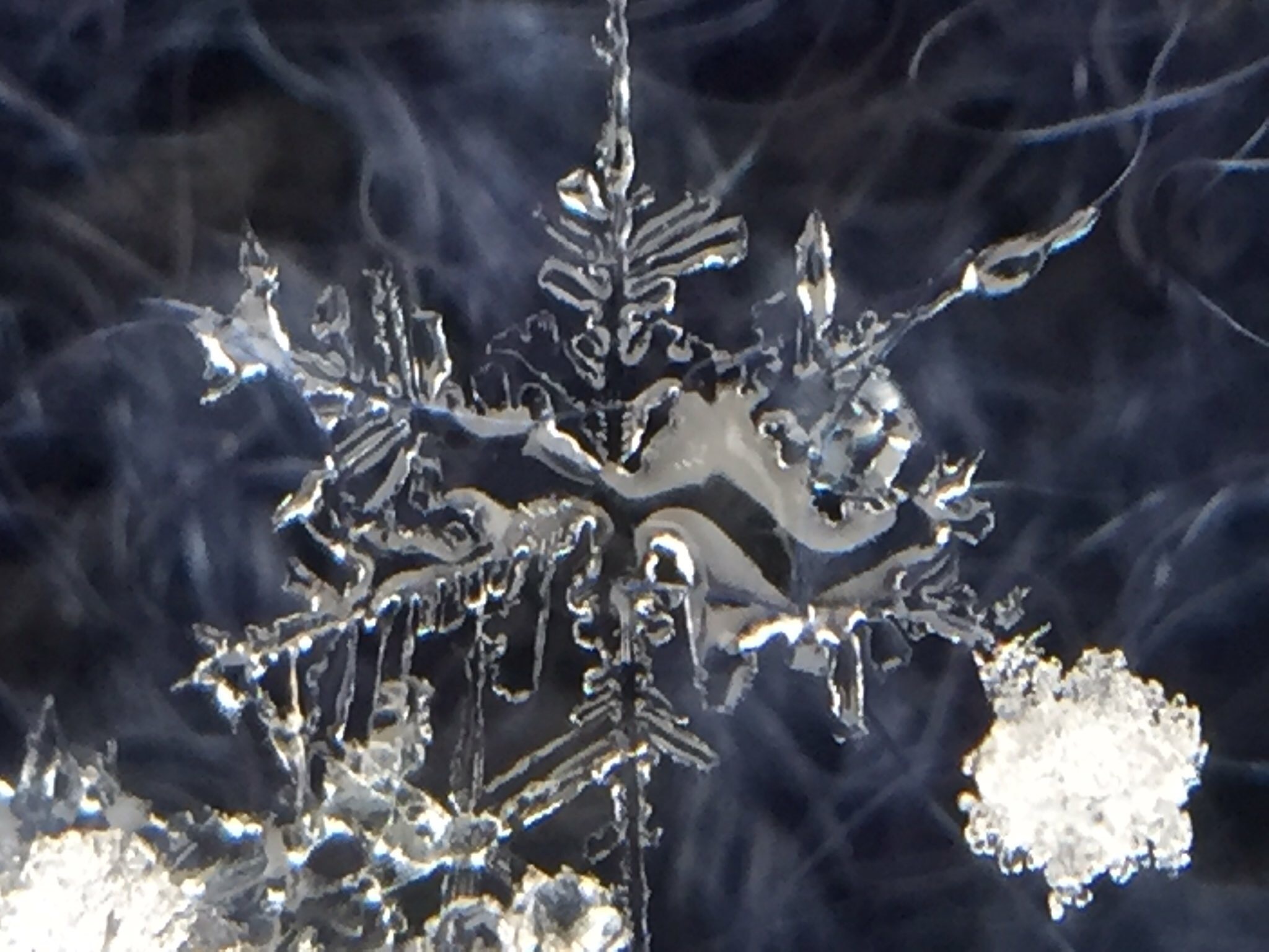 超簡単！雪の結晶の写真がスマホで撮影できる！？ ＃関東雪結晶プロジェクト に親子で参加しよう！
