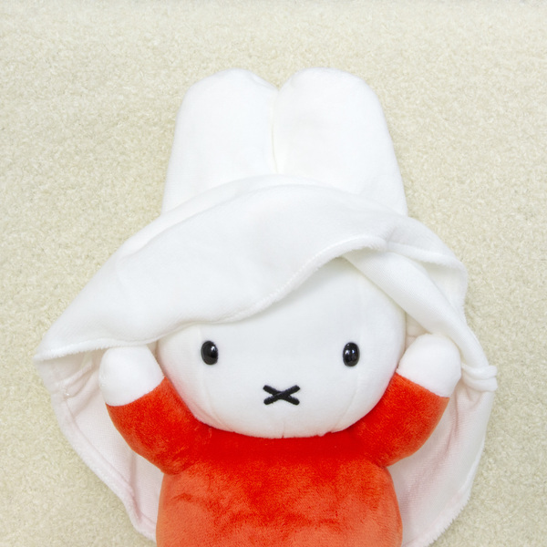 https://www.ehonnavi.net/shopping/item.asp?c=4905610601165