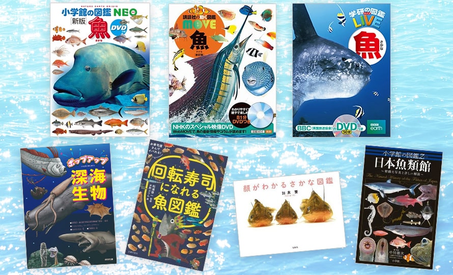最新版 魚や水の生き物の図鑑36選 人気の深海生物も 絵本ナビスタイル